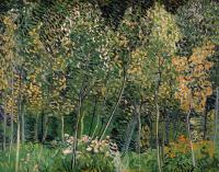 Gogh, Vincent van - The Grove